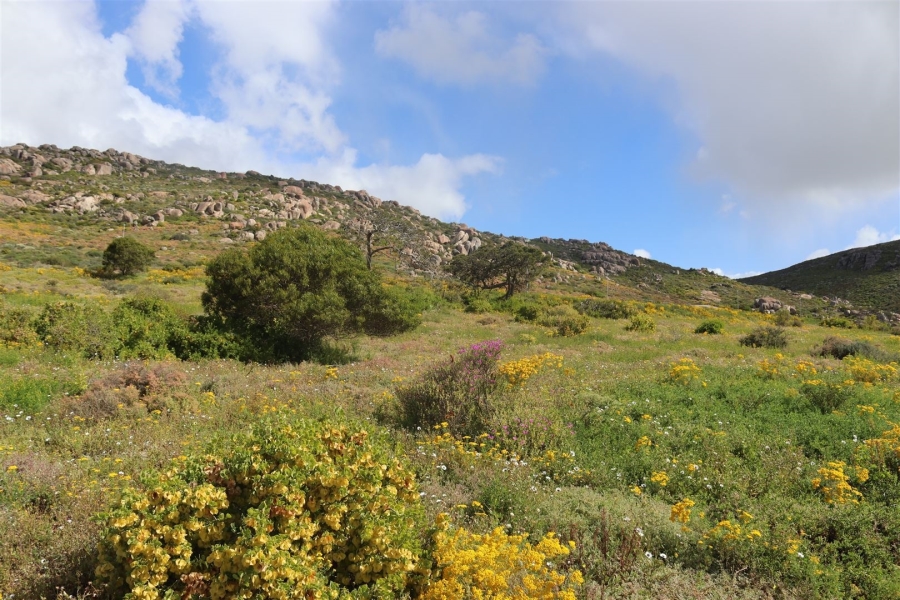 0 Bedroom Property for Sale in St Helena Views Western Cape